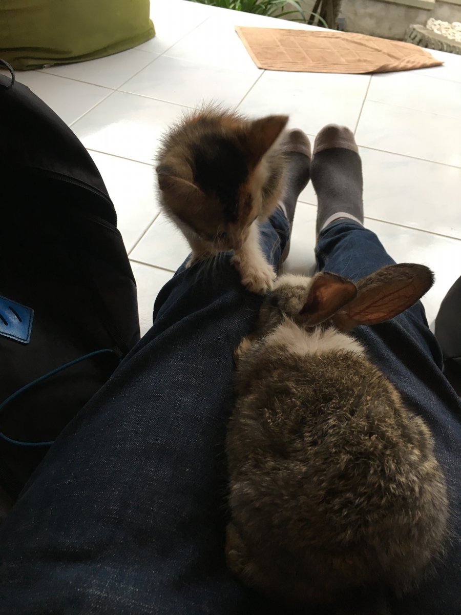 349542_0acdcf8d5f7881a16b160e0607fab36f