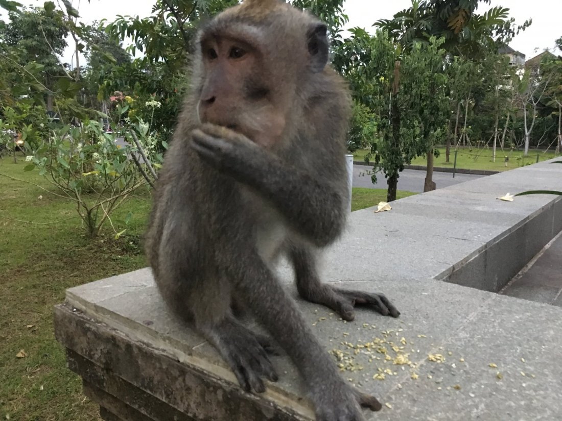 349545_2829e029117319feb5dee8daf6479277