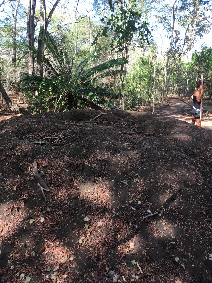 351469_7ad42d0d4754bf7b7bdbb70843734332