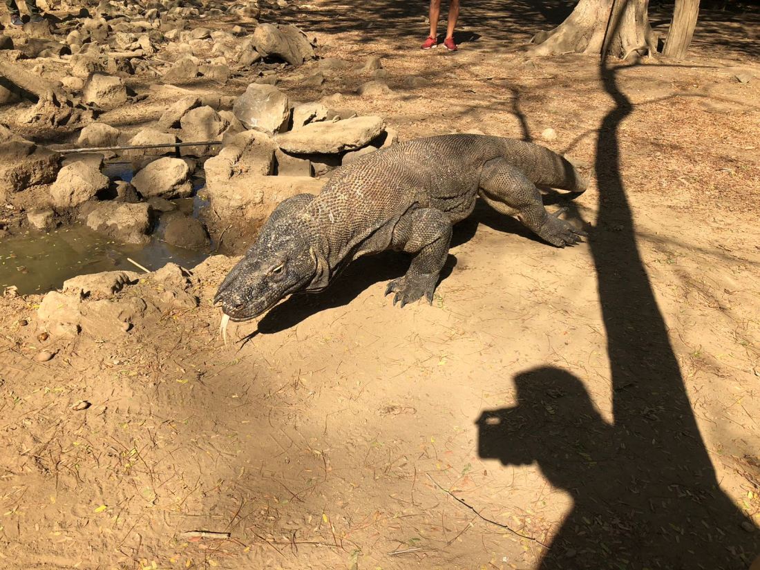 351471_059e69e8d64d794dd28b70a53dff7a3d