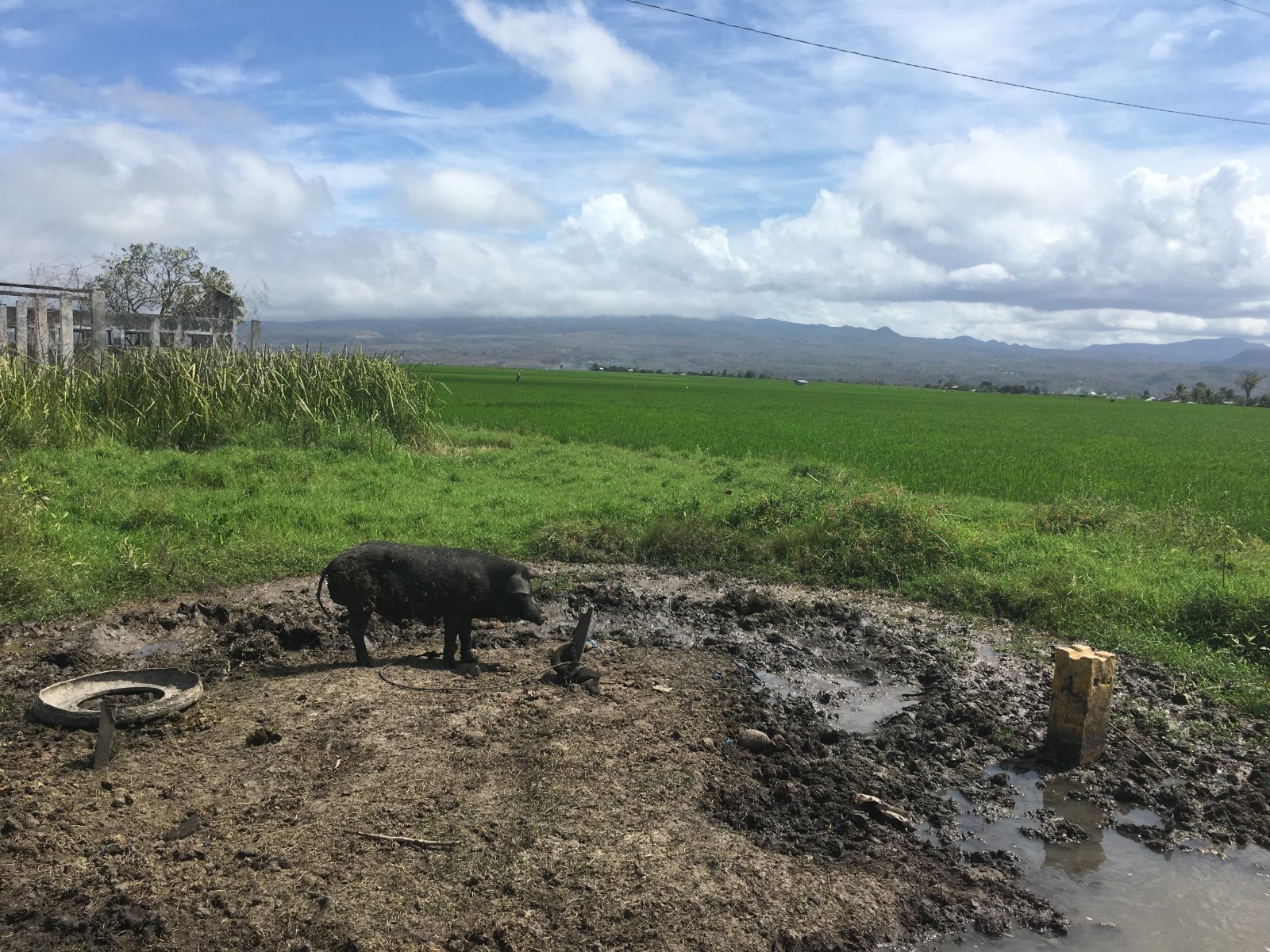 352497_3411e1e2a50d1272a1e3bf99664c68ea