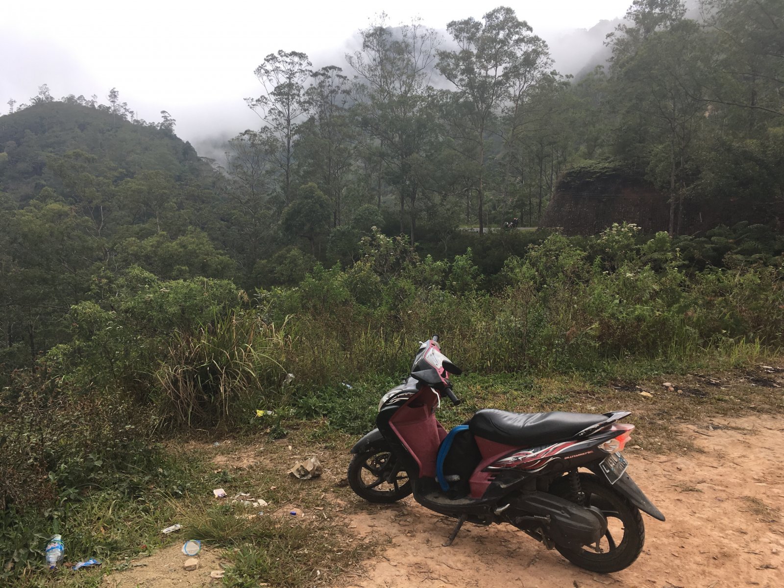 352504_11ae93544b4f6874c6d6724f2bcfedc8