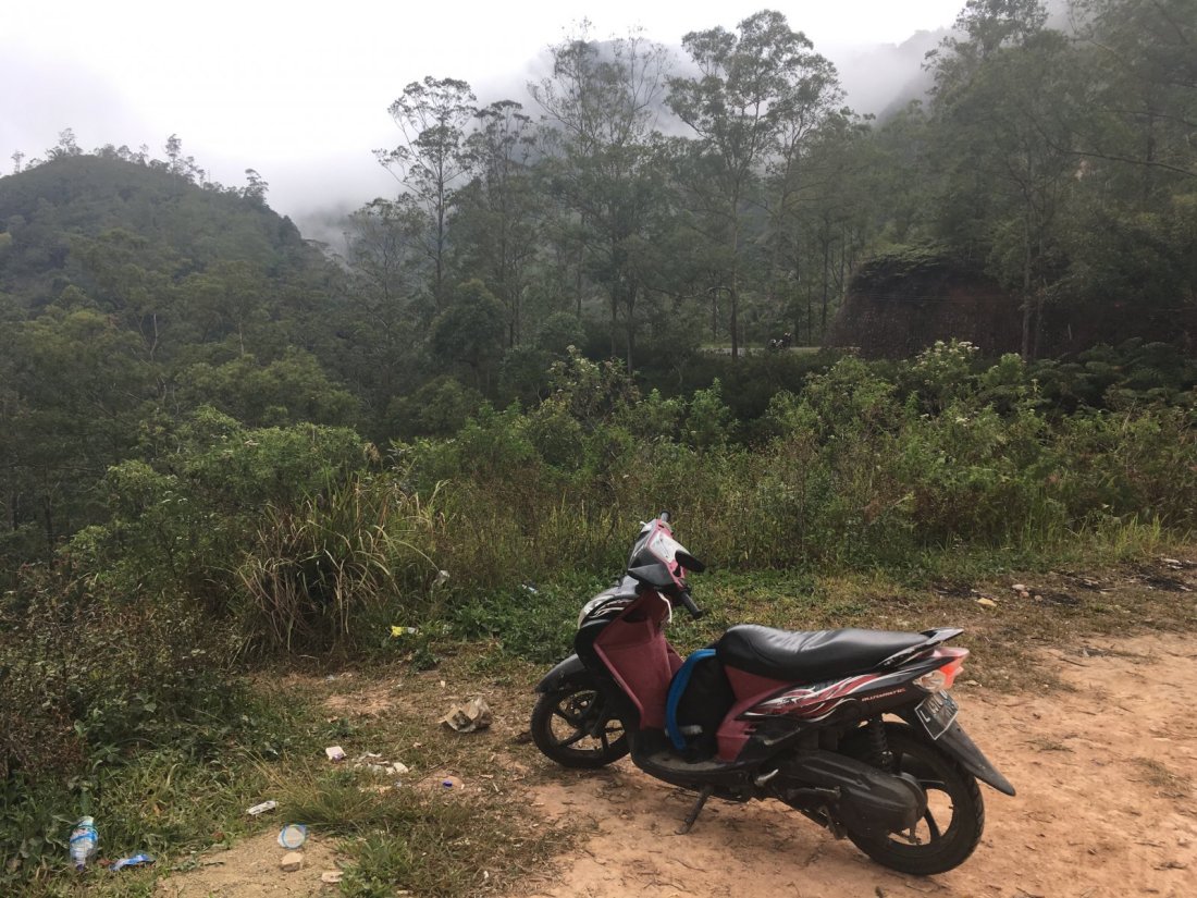 352504_11ae93544b4f6874c6d6724f2bcfedc8