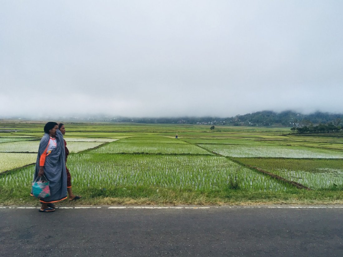 352522_ff3c859c9e44afa7a7445a38efc7e5d0