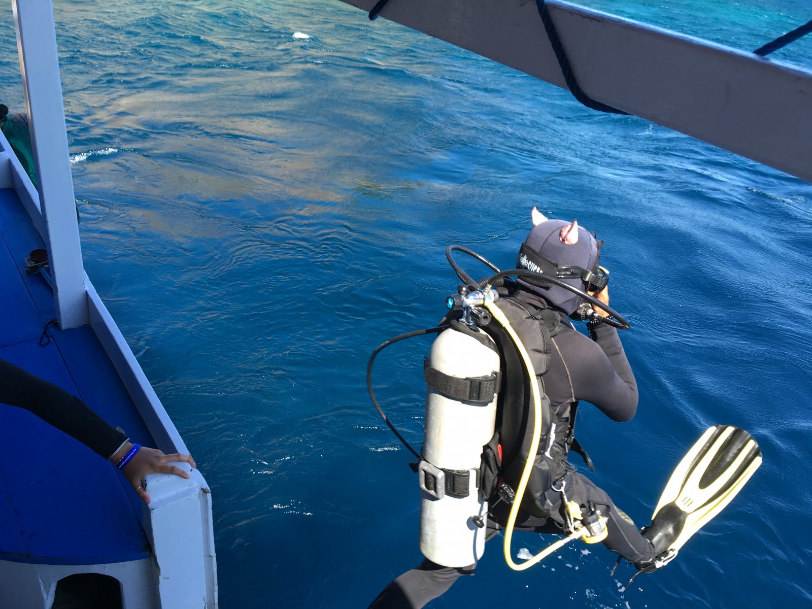 352545_9a736296c76d22179a4ab8ec8962aeeb