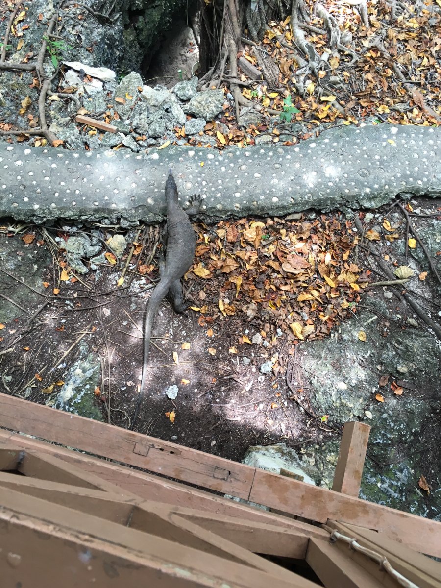 354966_9dc02e5f562bdb44ebd73a04cbb0db92