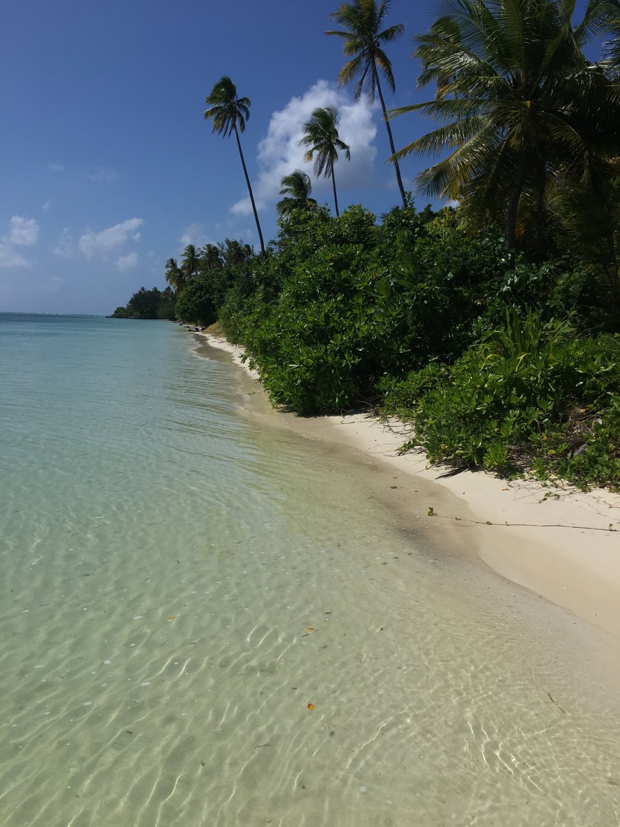 354968_1d64ec7eb31305d5bcd0af2a24c764c5