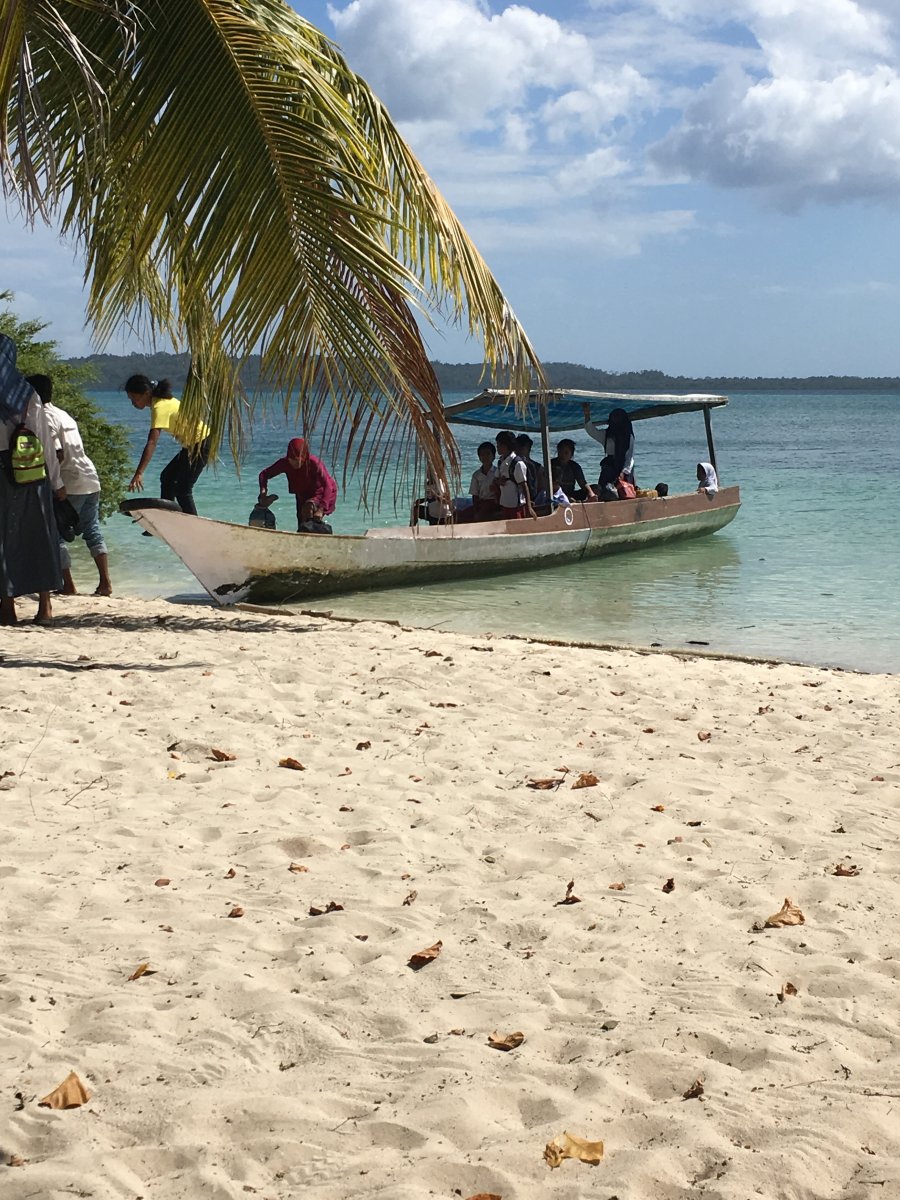 355334_741bb36f373ca93e674fba6ea0ef95dc