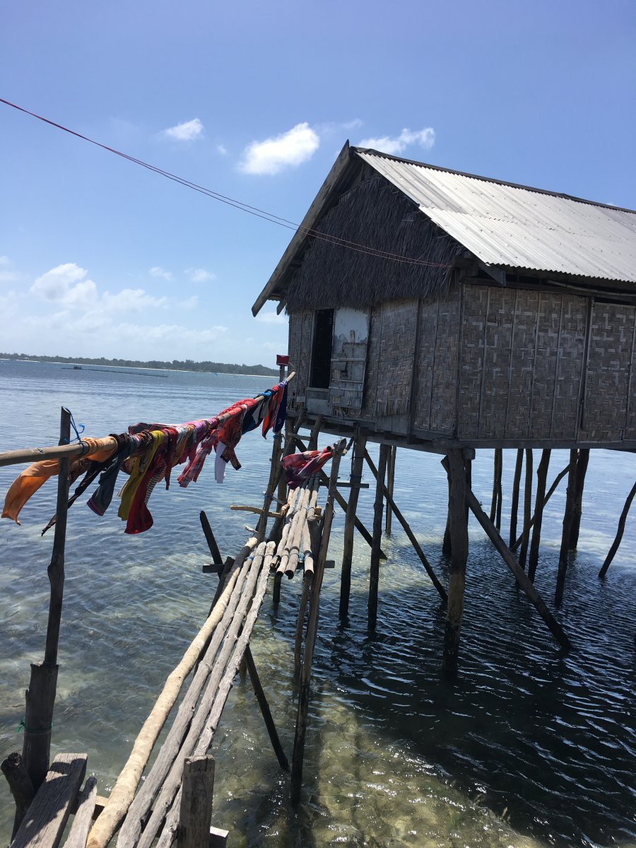 355338_724a299a8f57be288e63fdd7e019024f