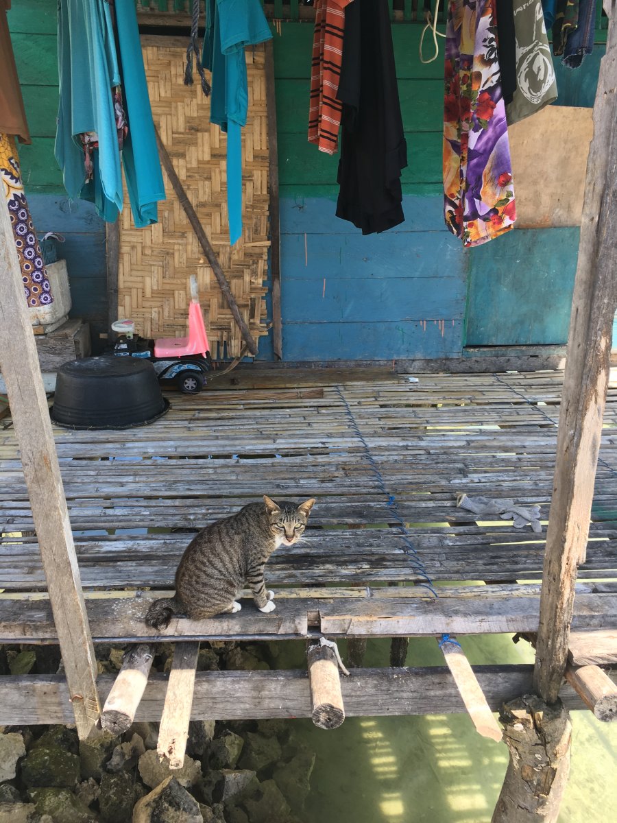 355339_90c8c52abe109946a35c7a21a6eb21f9