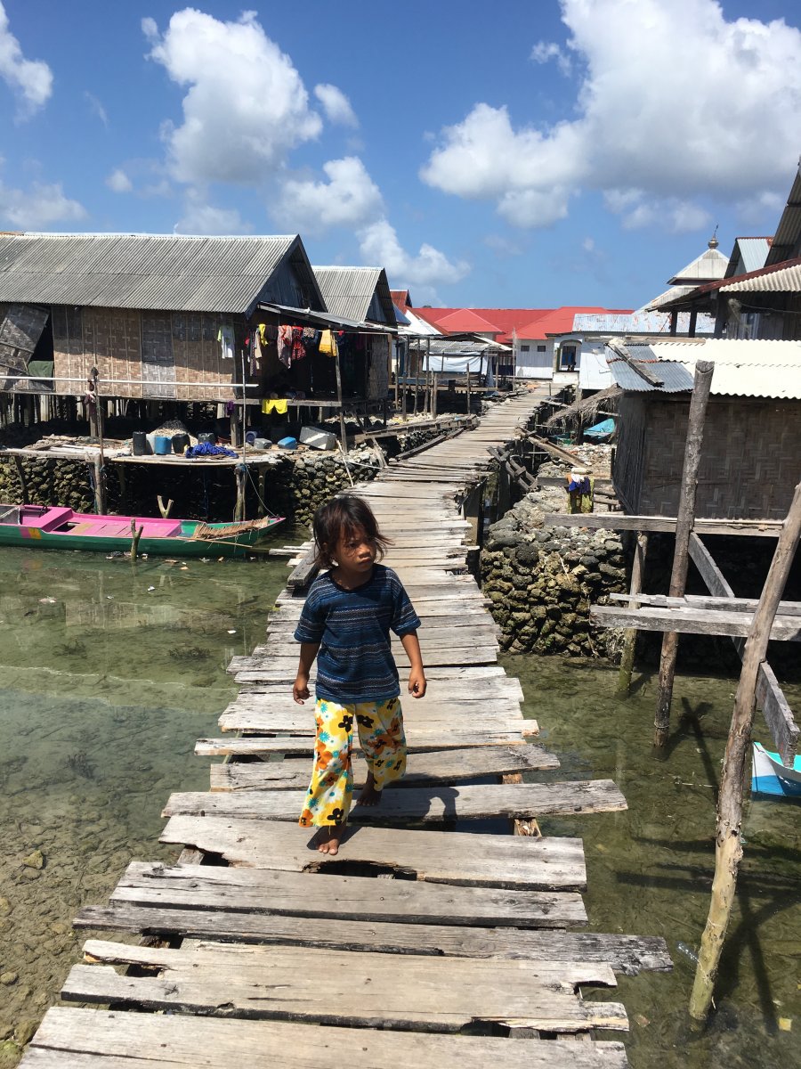 355340_dc679c1bbff3616ca14d97af0f3ff82a