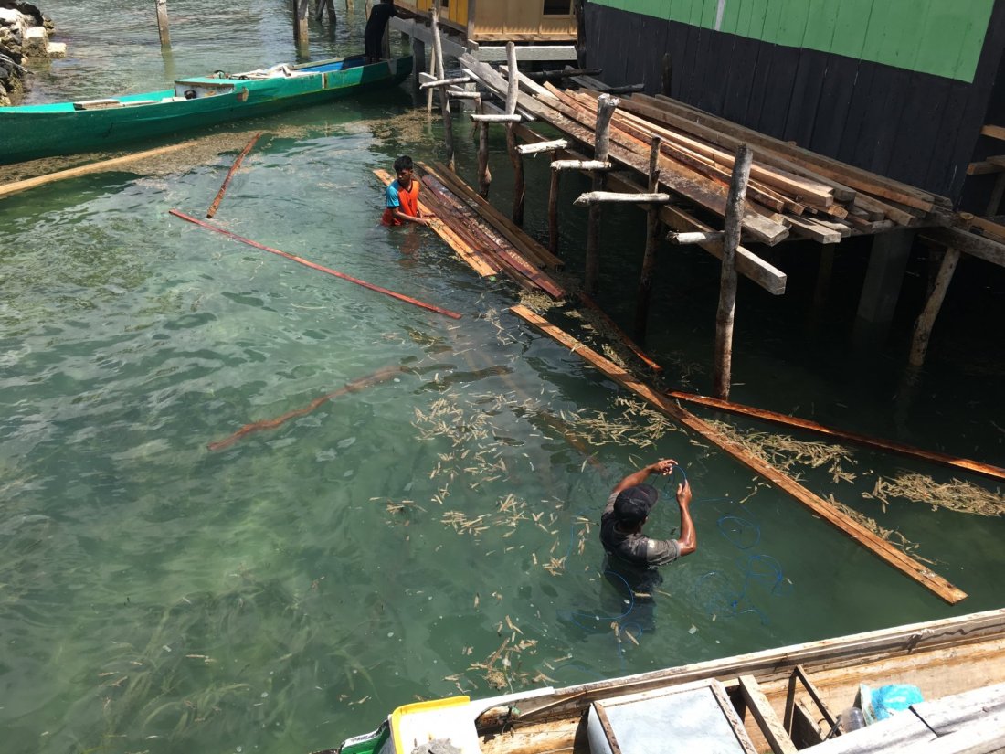 355346_dc24a2d8ad2b4037bb9ca81e674875d4