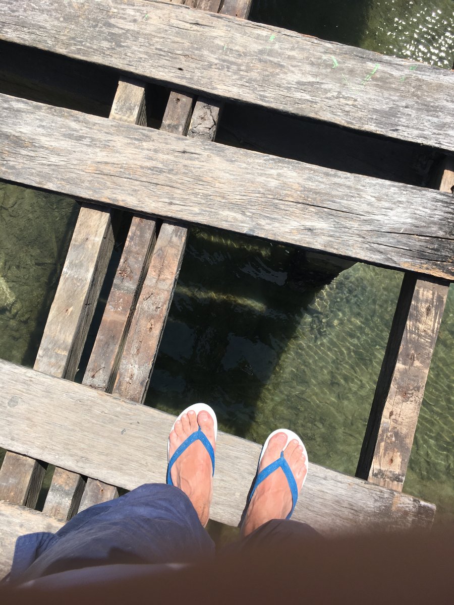 355494_4422bab288787ac4c6ae45c40ef82800